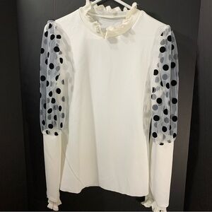 Ruffled Neck Sweater with Sheer Polka puff Sleeves